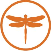 Odonata