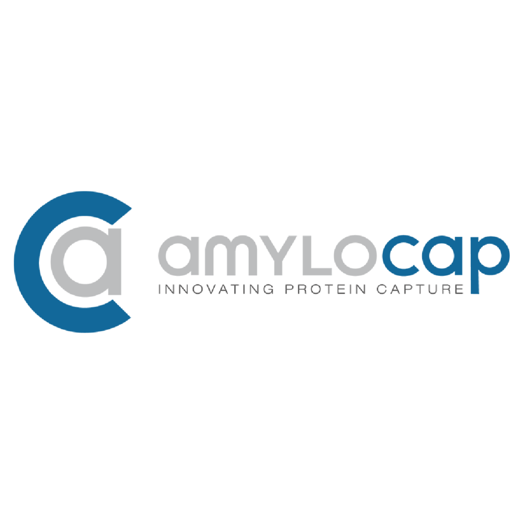 Amylocap: innovating protein capture