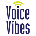 VoiceVibes, Inc.
