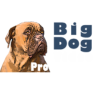 Big Dog Video Productions