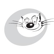 CAT PRODUCTION