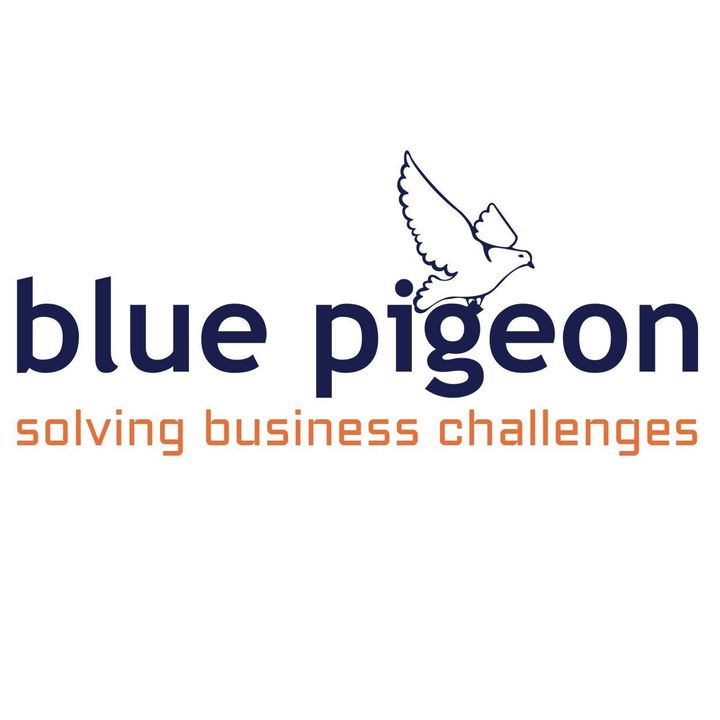 Blue Pigeon Consulting