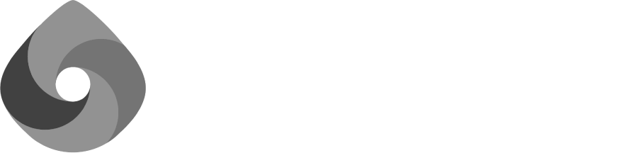 Ion Protocol