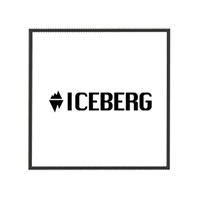 Iceberg Marketplace In Saas