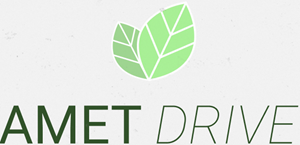 Amet Drive