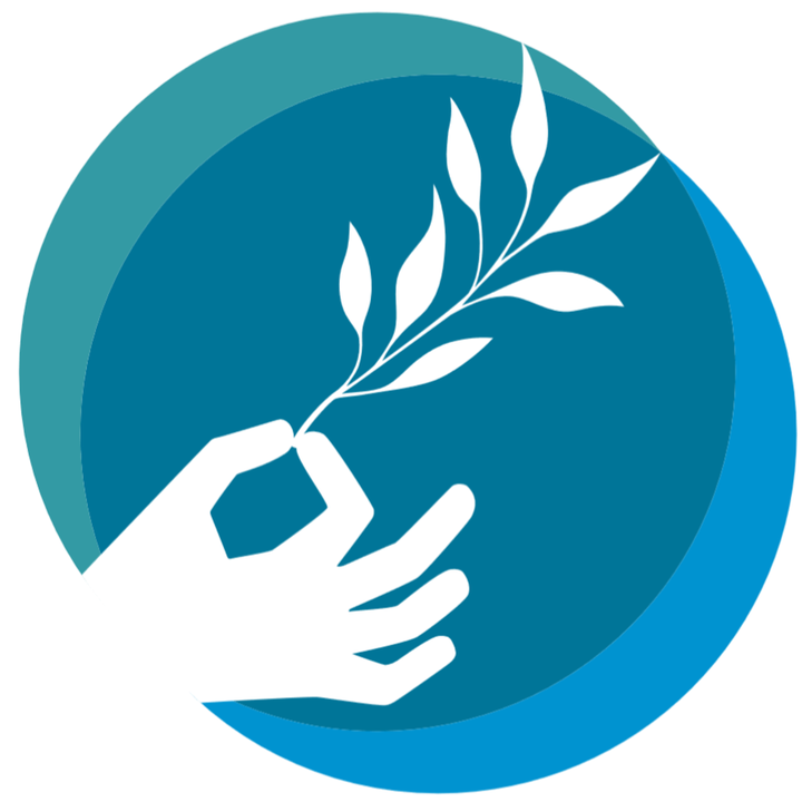 Paris Peace Forum