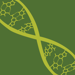 Genentech