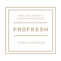 Profresh Floral Wholesaler