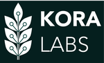 KoraLabs GmbH