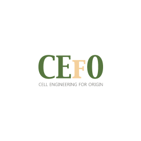 CEFO