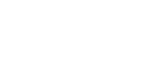 THE BOUQS