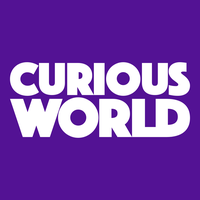 Curious World