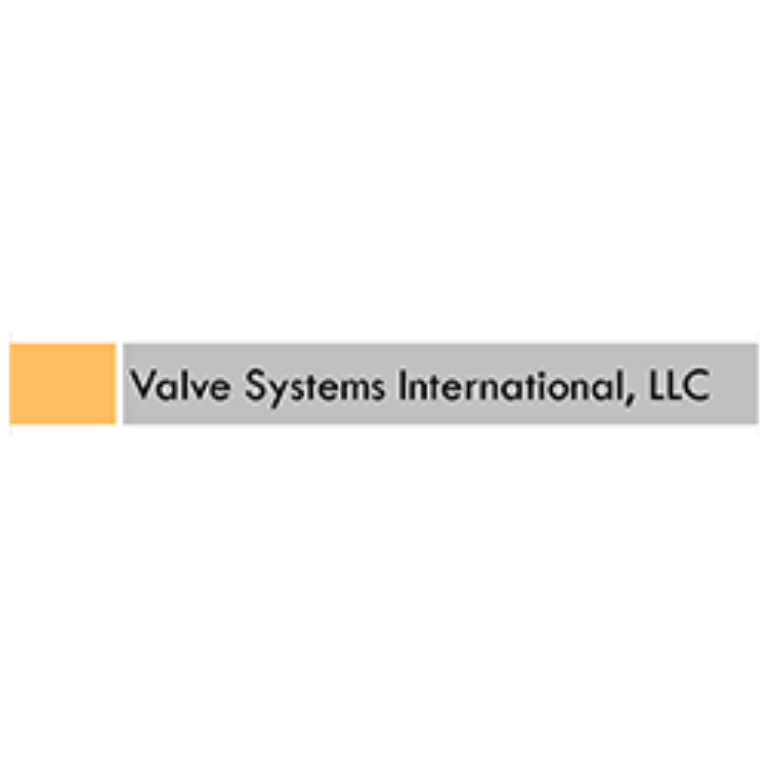 Valve Systems International