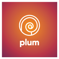 Plum Insights and Strategy