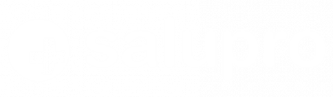 Salupro