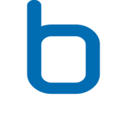 Borit