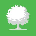 Ash Brokerage