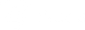 BNESIS