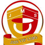 JMS VIP LIMO