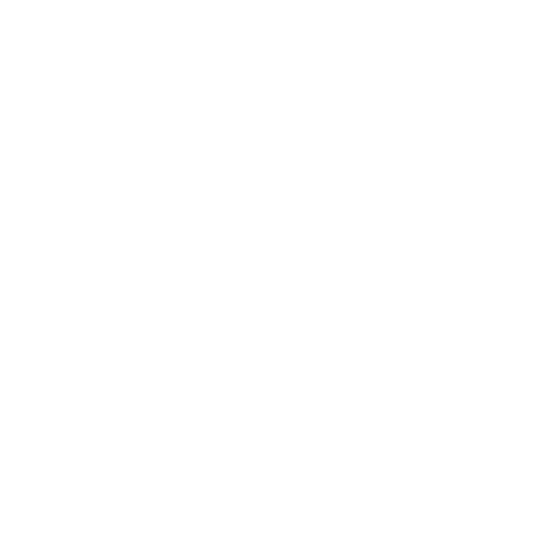 Shakudo