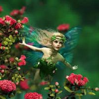 Extreme Fairy Houses