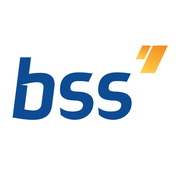 BSS POLAND S.A.