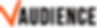 vAUDIENCE