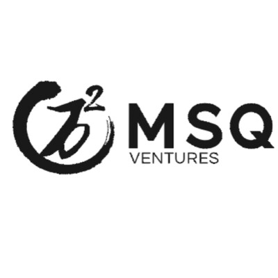 MSQ Ventures