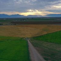 Barn Owl Precision Agriculture