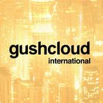 Gushcloud International