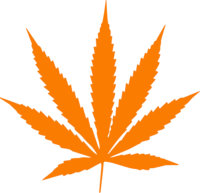 Kalifornia Cannabis Co.