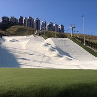 Snowflex
