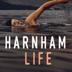 Harnham Data & Analytics Recruitment
