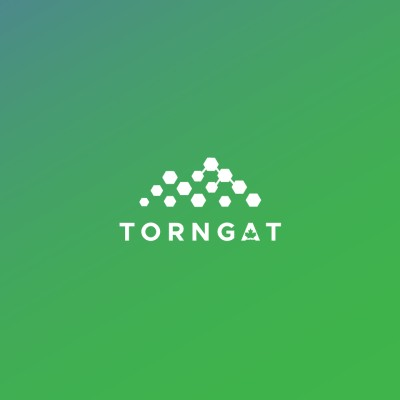 Torngat Metals Ltd.