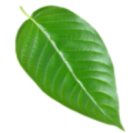 Premium Kratom