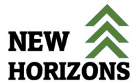 New Horizons Ventures