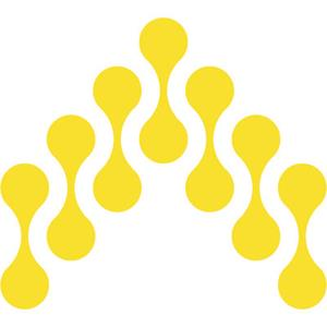 DirectedAI Inc.