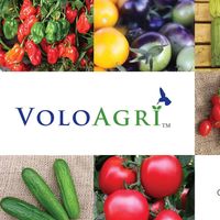 VoloAgri Group, Inc.