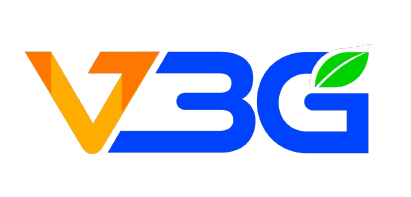 V3G