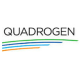 Quadrogen Power Systems, Inc
