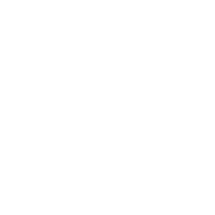 CommodiCarbon