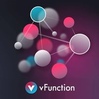 vFunction