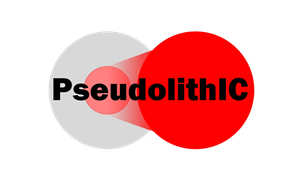 Pseudolithic