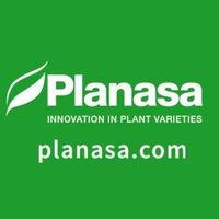 Planasa