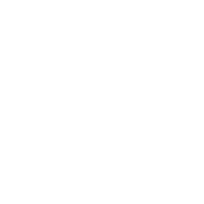 Climate X