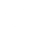 Fion Technologies