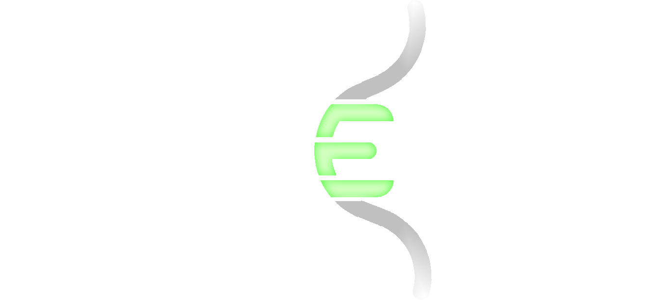 Lanterna