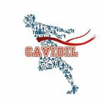 Cavidi