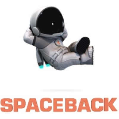 Spaceback Social Display
