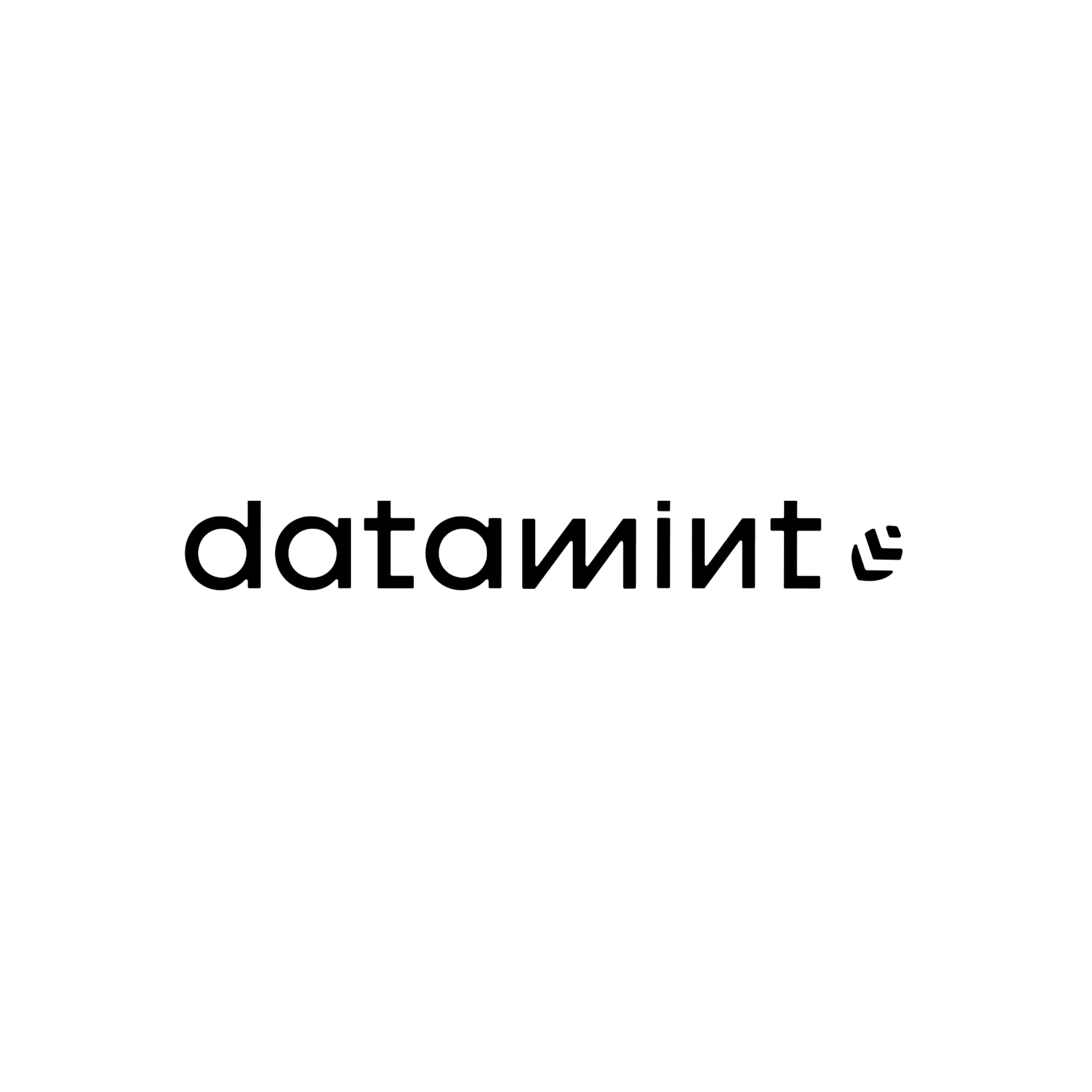 Datamint